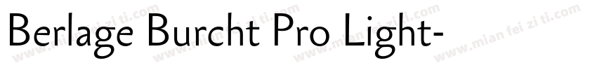 Berlage Burcht Pro Light字体转换
